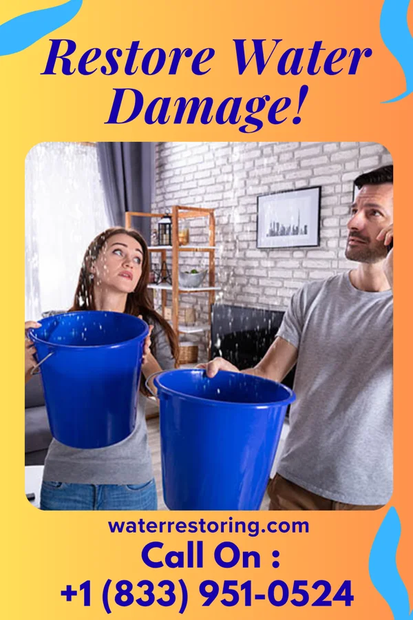 water restoration Rapid Damage Recovery Collingdale