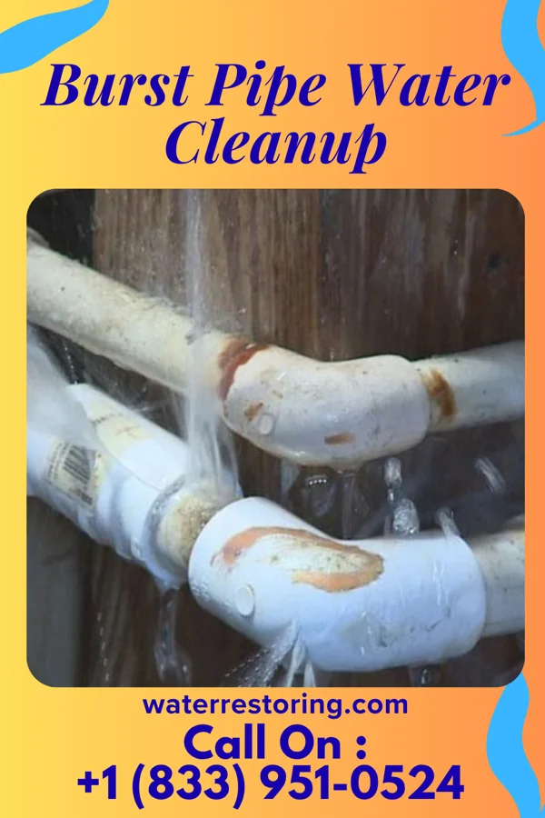 Burst Pipe Water Cleanup in Collingdale, PA