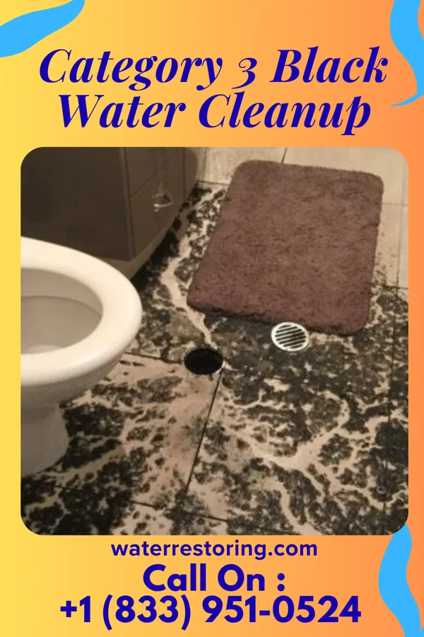 Category 3 Black Water Cleanup in Collingdale, PA