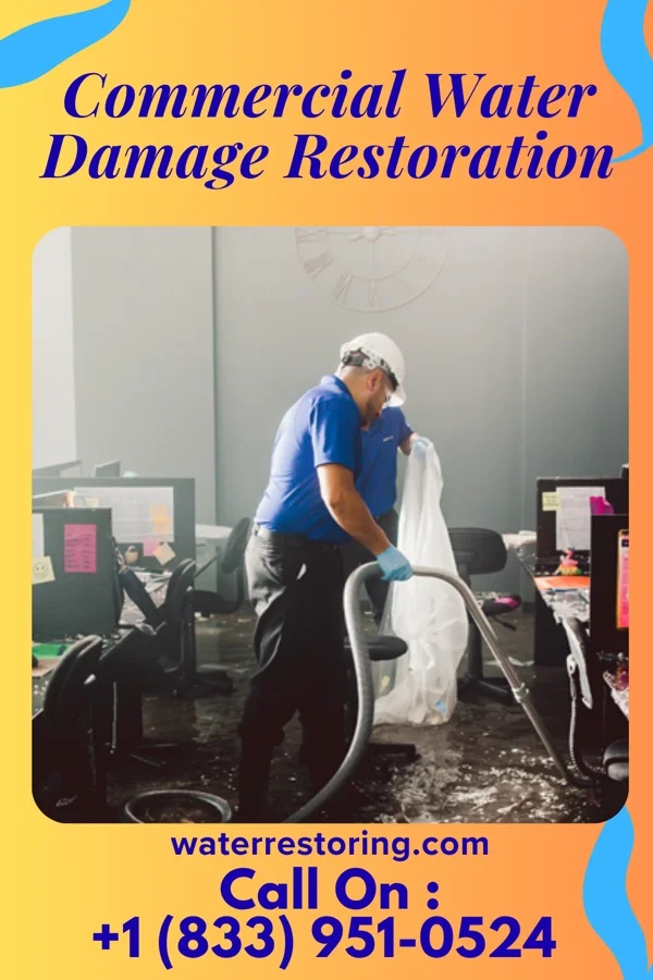 Commercial Water Damage Restoration in Collingdale, PA