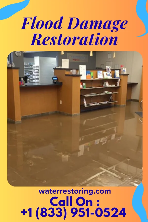 Flood Damage Restoration in Collingdale, PA