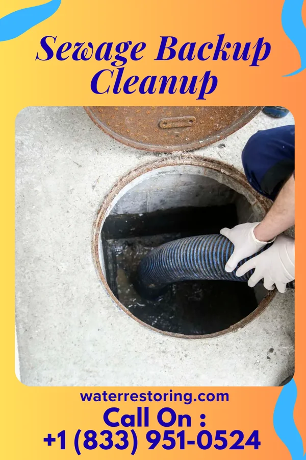 Sewage Backup Cleanup in Collingdale, PA