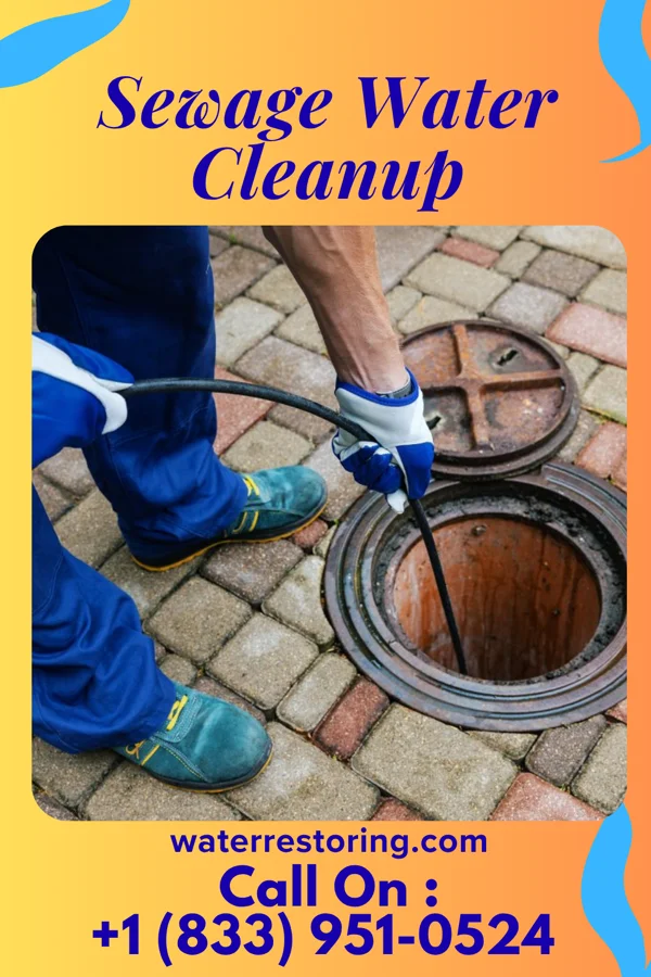Sewage Water Cleanup in Collingdale, PA